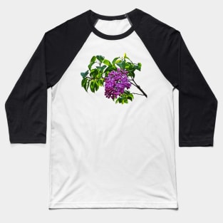 Lilacs Just Opening Baseball T-Shirt